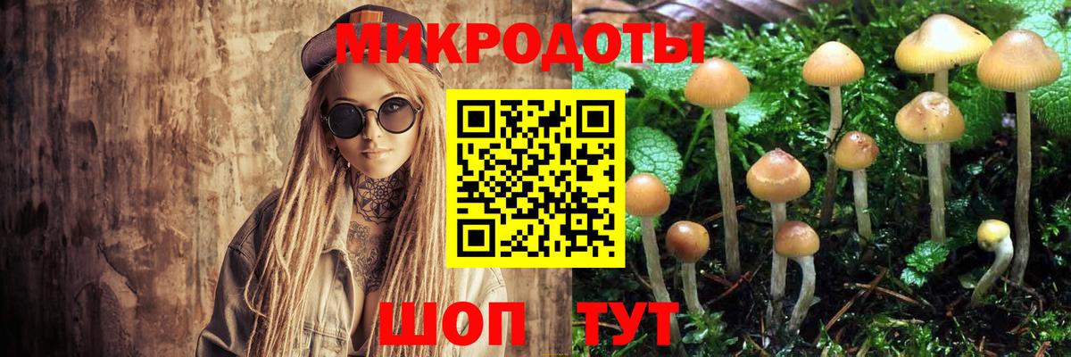 сколько стоит  Псилоцибиновые грибы MAGIC MUSHROOMS  Вход с VPN  Таганрог 
