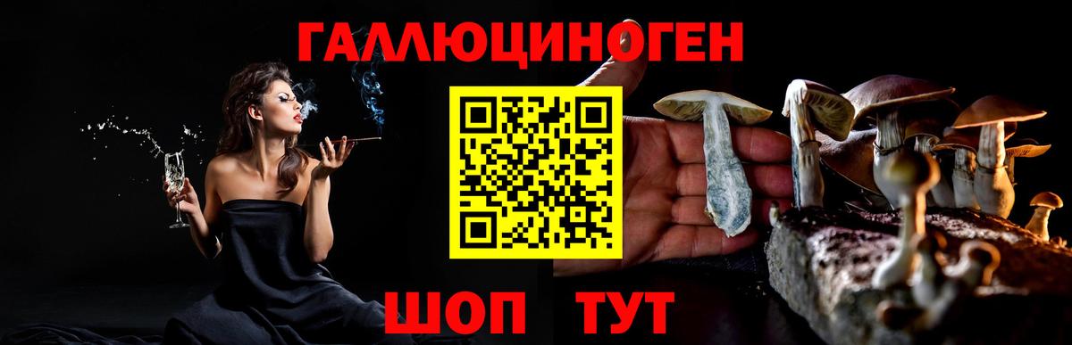Псилоцибиновые грибы Magic Shrooms Таганрог